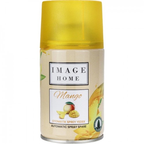 IMAGE HOME 250 ML ODA KOKUSU MANGO*12